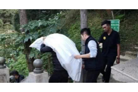 青山青山的要账公司在催收过程中的策略和技巧有哪些？